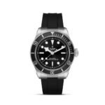 TUDOR Black Bay