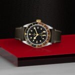 TUDOR Black Bay GMT S&G - M79833MN-0003 - Image 4