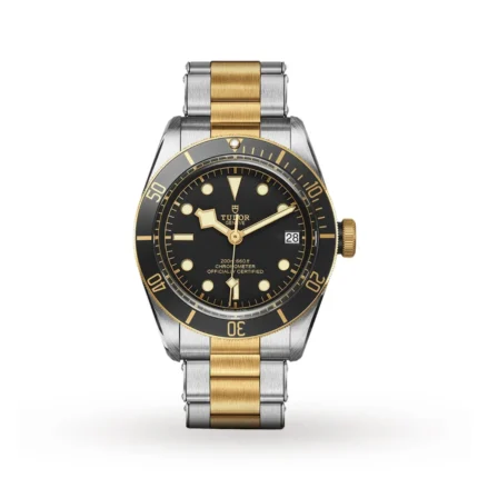 TUDOR Black Bay S&G - M79733N-0008