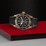 TUDOR Black Bay Bronze 43mm Bronze Case Black Leather Strap - M79250BA-0001 - Image 3