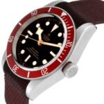 TUDOR Heritage Black Bay Burgundy Bezel Steel Mens Watch 79230R Box Card - Image 3