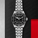 TUDOR Black Bay Monochromatic 41mm Steel Case and 5 Link Steel Bracelet - Image 3